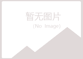 福山区迷失咨询有限公司